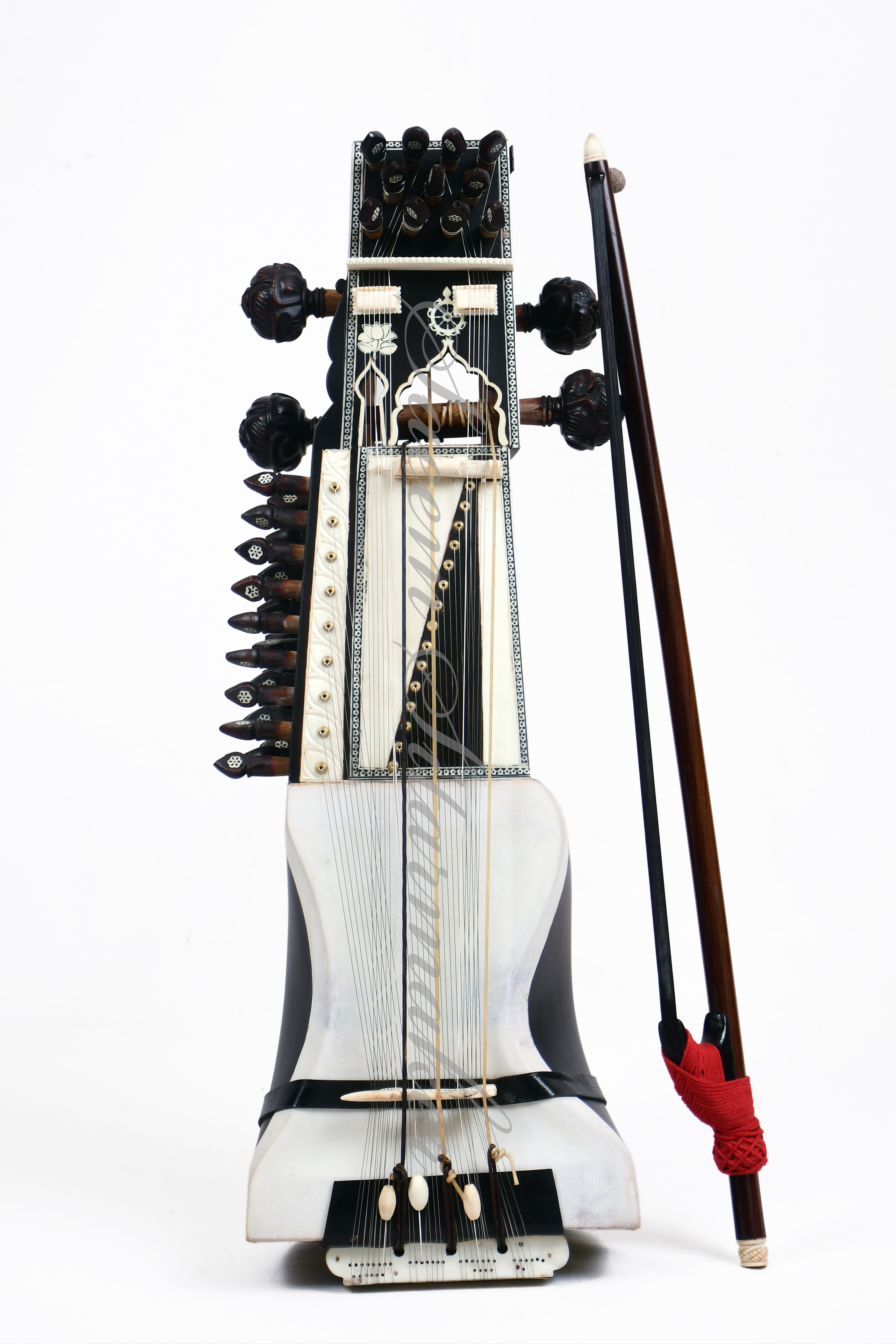 Sarangi in black