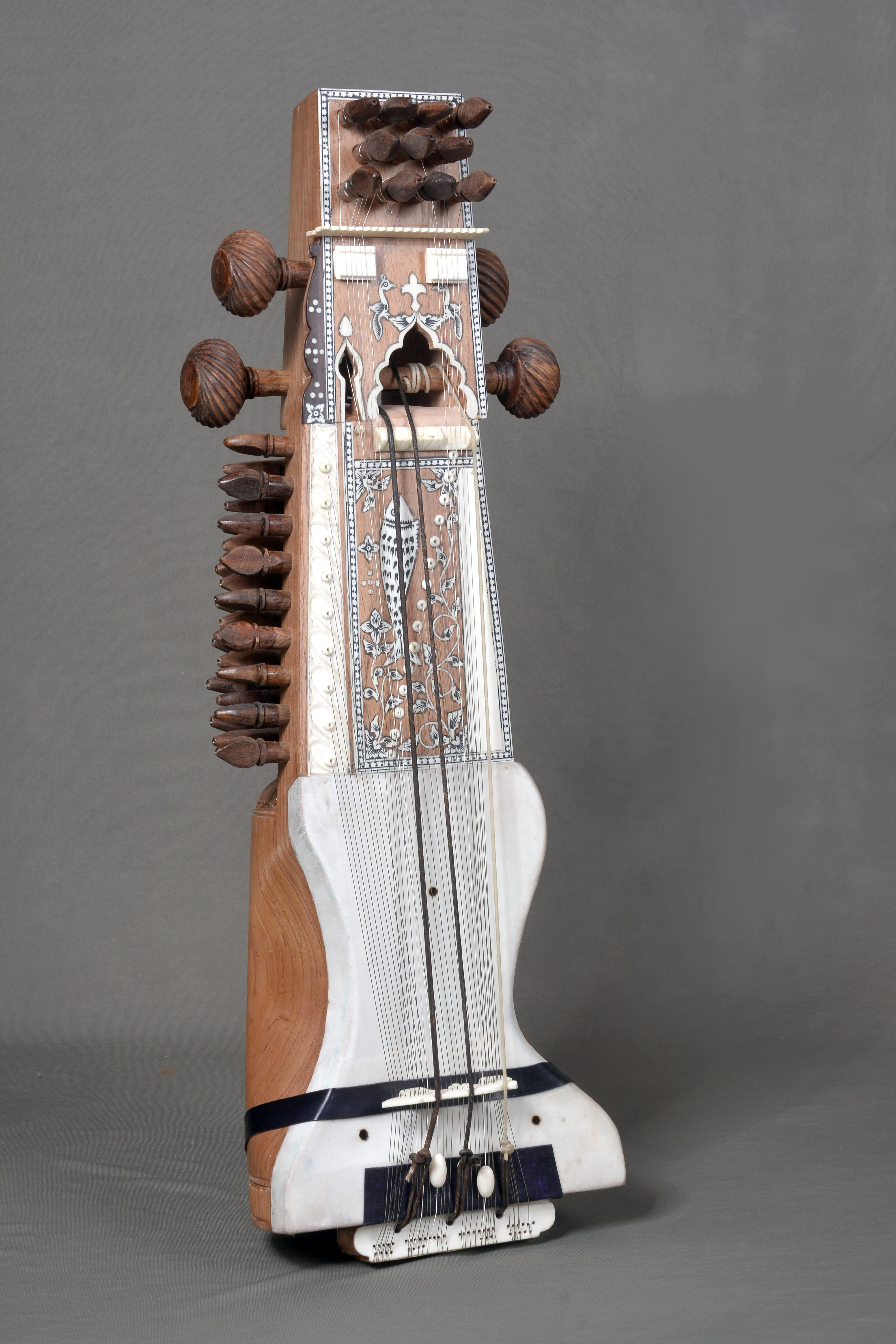 Sarangi in nature polish