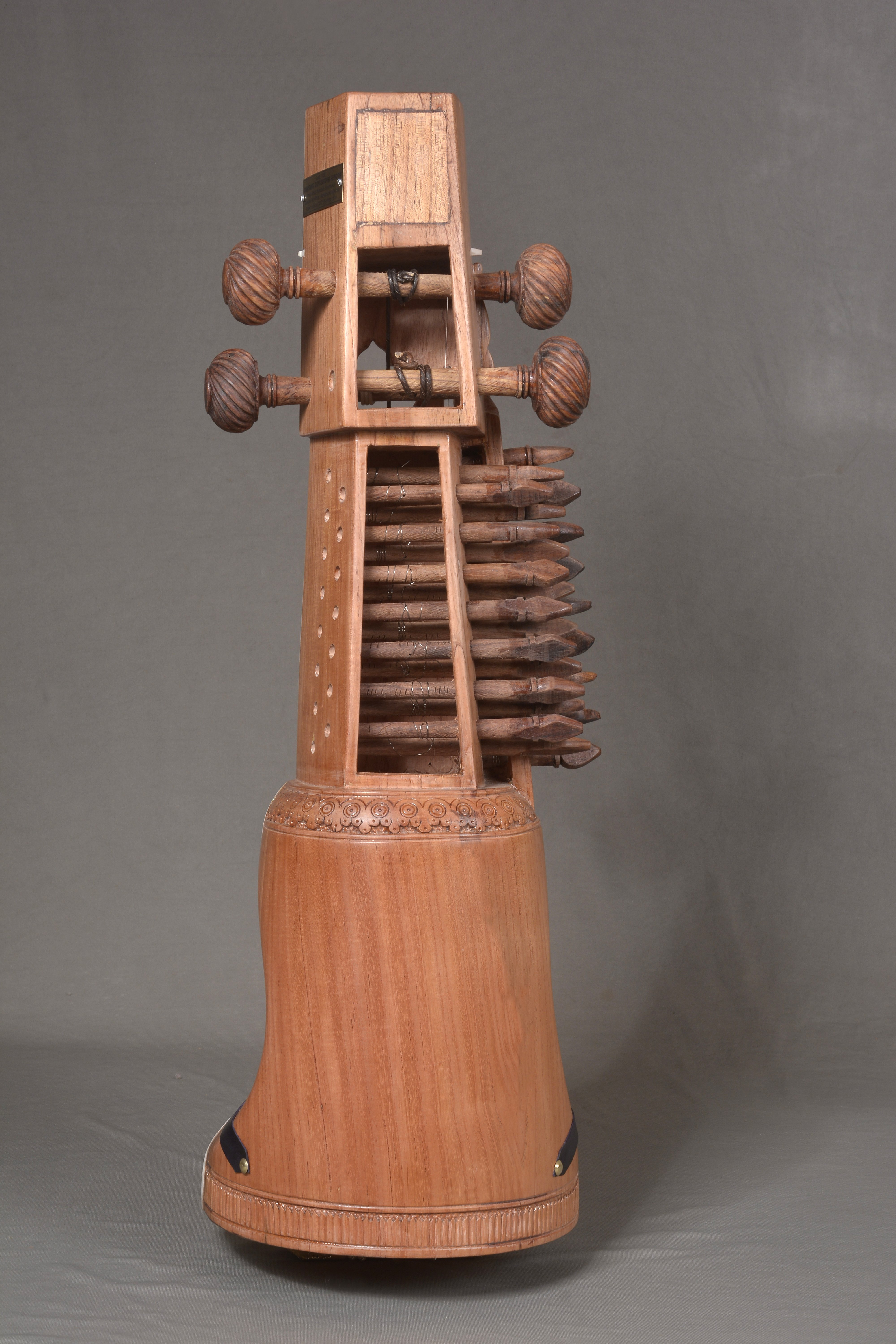 Sarangi in nature polish